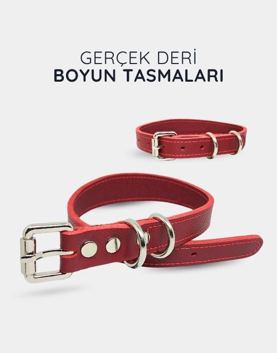 Gerçek Deri Boyun Tasmaları