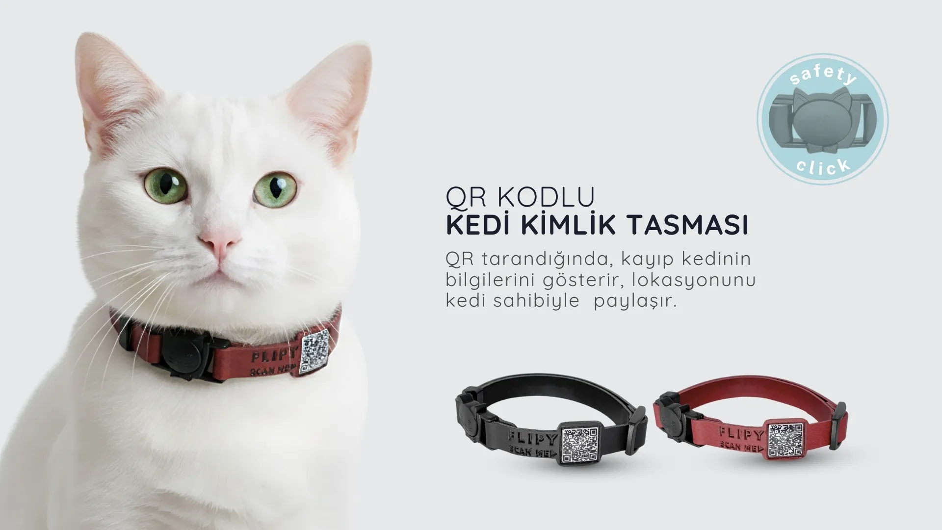 safety click kedi tasması