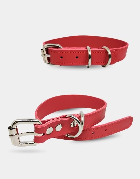 Hakiki Deri Boyun Tasması Kırmızı