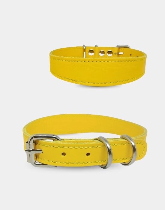 Hakiki Deri Boyun Tasması Sarı
