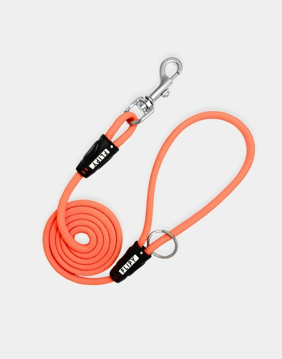 Köpek Gezdirme İpi Turuncu 