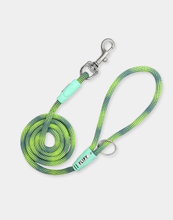 Köpek Gezdirme İpi Yeşil Lila