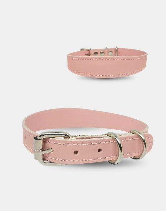 Hakiki Deri Boyun Tasması Somon